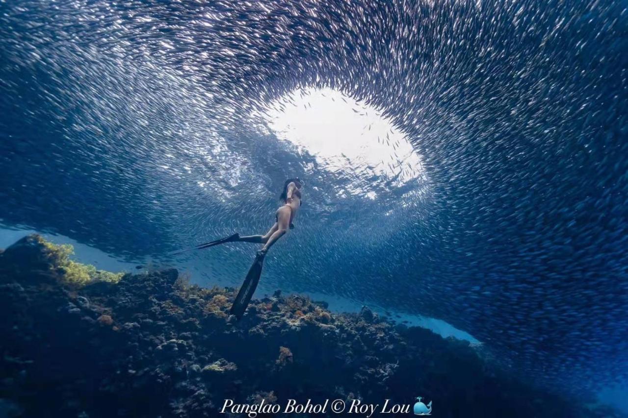 Ultra Mint Dive Resort Панглао Екстер'єр фото