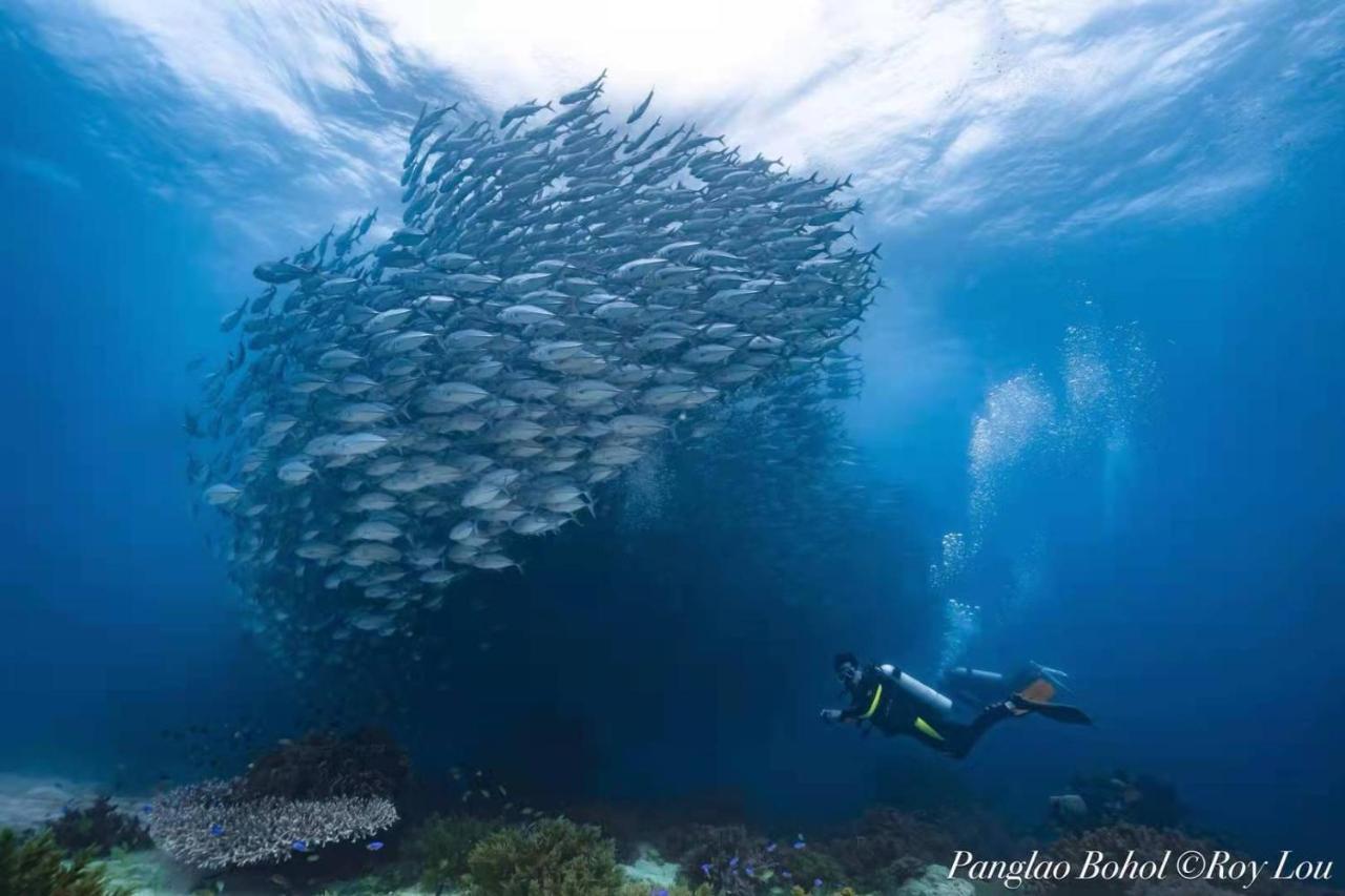 Ultra Mint Dive Resort Панглао Екстер'єр фото